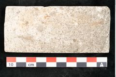 Foto (Detailansicht) von Laurus lalagos Unger (NHMW-GEO-2024-0188-8134)